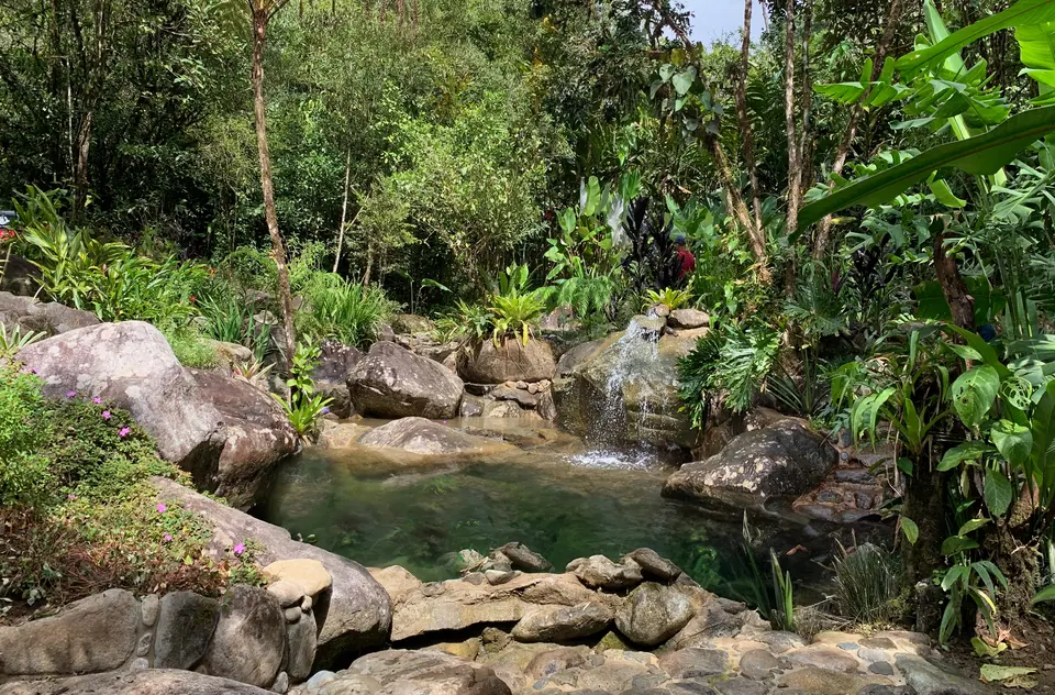 Natural rock pool and small waterfall surrounded by rainforest